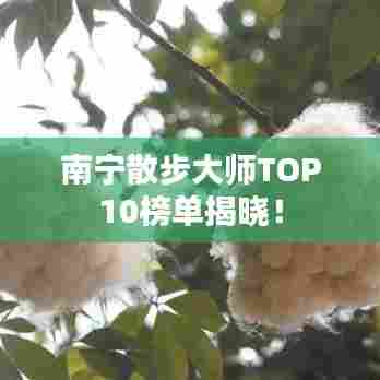 南宁散步大师TOP10榜单揭晓!