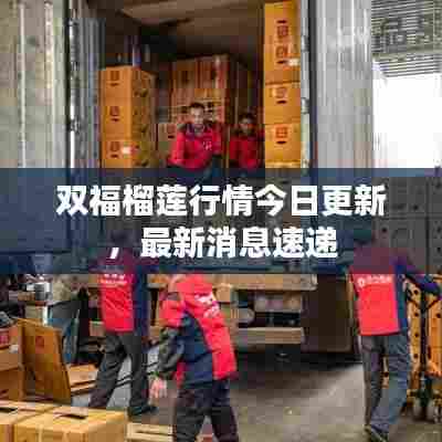 双福榴莲行情今日更新，最新消息速递