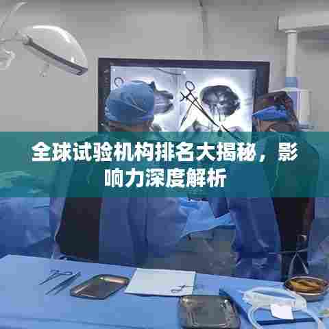 全球试验机构排名大揭秘，影响力深度解析