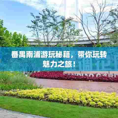 番禺南浦游玩秘籍,带你玩转魅力之旅!