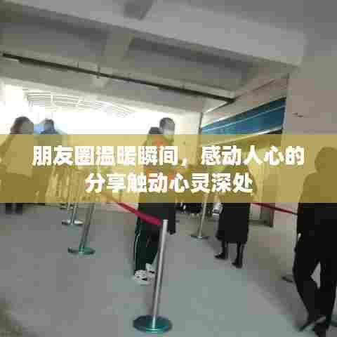 朋友圈温暖瞬间，感动人心的分享触动心灵深处