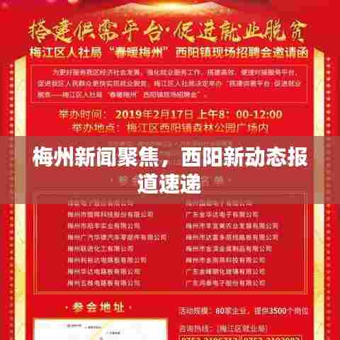 梅州新闻聚焦，西阳新动态报道速递