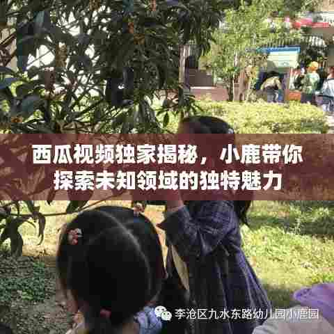西瓜视频独家揭秘，小鹿带你探索未知领域的独特魅力