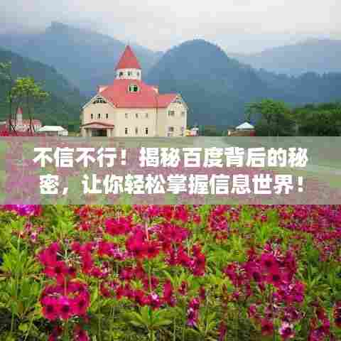 不信不行！揭秘百度背后的秘密，让你轻松掌握信息世界！