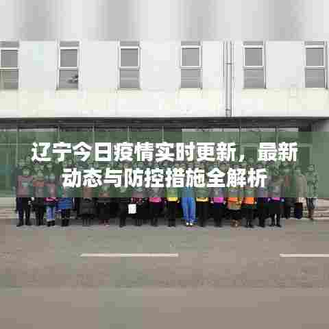 辽宁今日疫情实时更新，最新动态与防控措施全解析