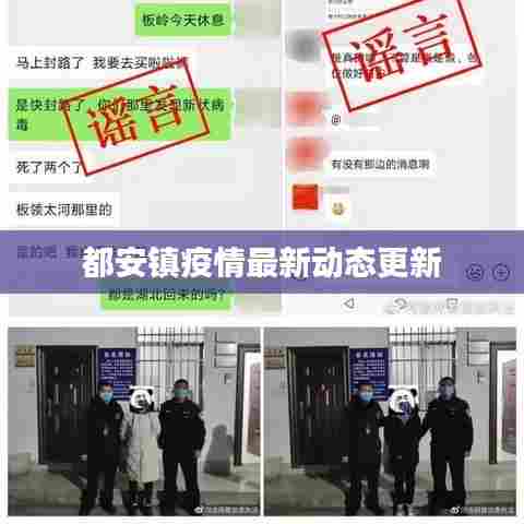 都安镇疫情最新动态更新