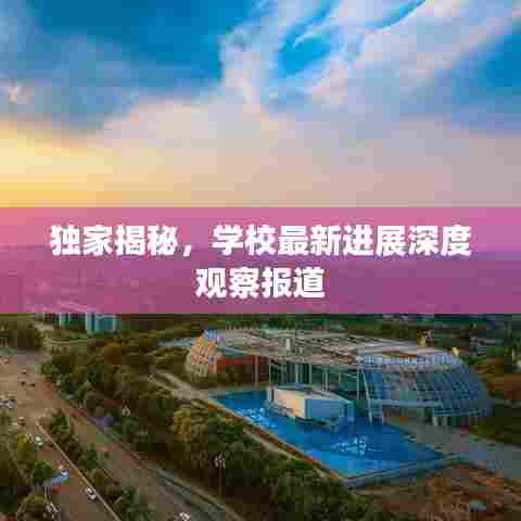 独家揭秘，学校最新进展深度观察报道