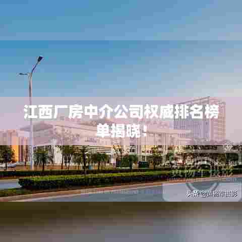 棒打出头鸟 第7页