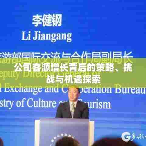 公司客源增长背后的策略、挑战与机遇探索