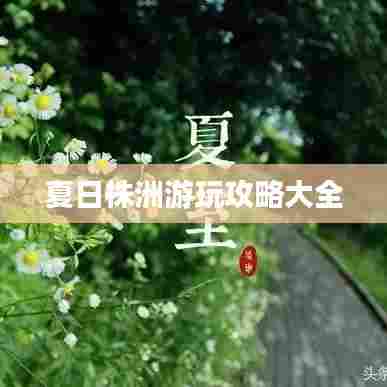 夏日株洲游玩攻略大全