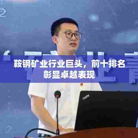 鞍钢矿业行业巨头,前十排名彰显卓越表现