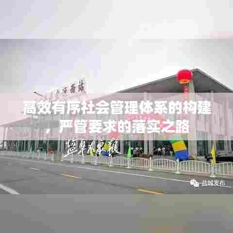 高效有序社会管理体系的构建,严管要求的落实之路
