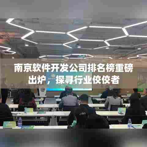 南京软件开发公司排名榜重磅出炉,探寻行业佼佼者