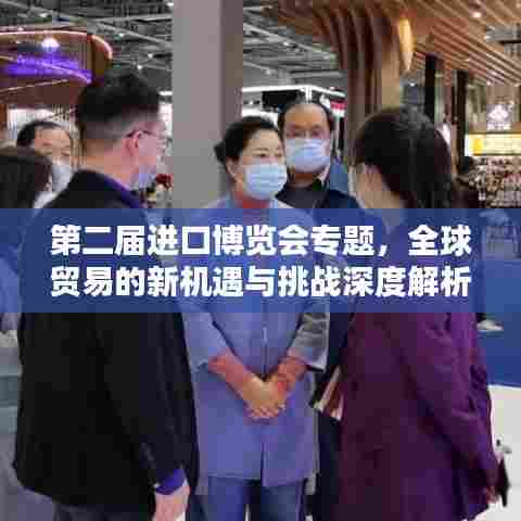 第二届进口博览会专题，全球贸易的新机遇与挑战深度解析