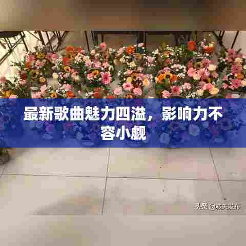 最新歌曲魅力四溢,影响力不容小觑