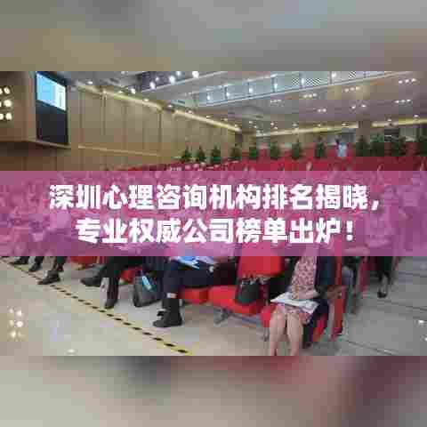 深圳心理咨询机构排名揭晓，专业权威公司榜单出炉！