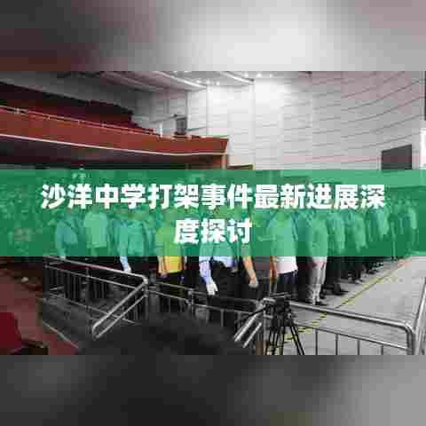 沙洋中学打架事件最新进展深度探讨
