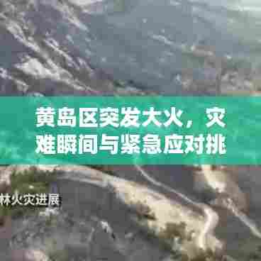 黄岛区突发大火,灾难瞬间与紧急应对挑战