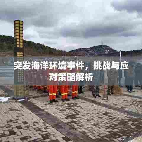 突发海洋环境事件,挑战与应对策略解析