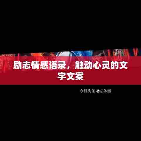 励志情感语录,触动心灵的文字文案