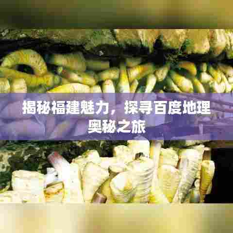 揭秘福建魅力，探寻百度地理奥秘之旅