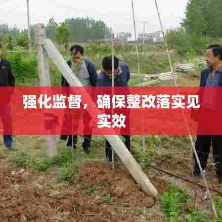 强化监督，确保整改落实见实效