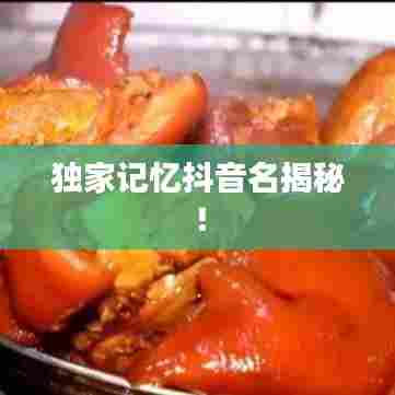 独家记忆抖音名揭秘!