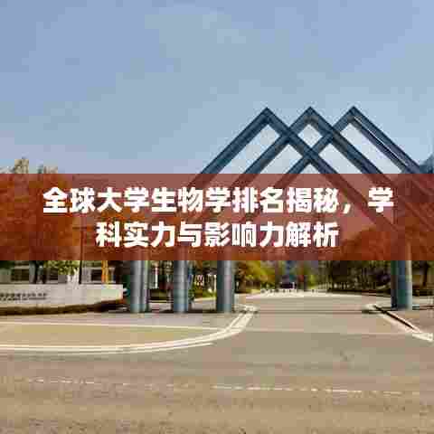 全球大学生物学排名揭秘，学科实力与影响力解析