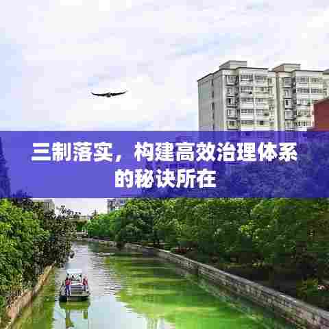 三制落实，构建高效治理体系的秘诀所在