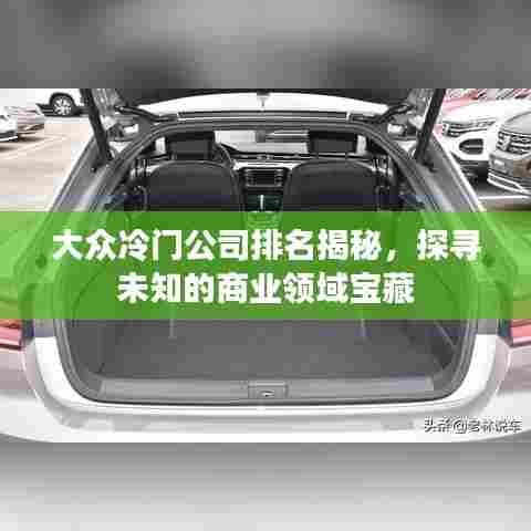 大众冷门公司排名揭秘,探寻未知的商业领域宝藏
