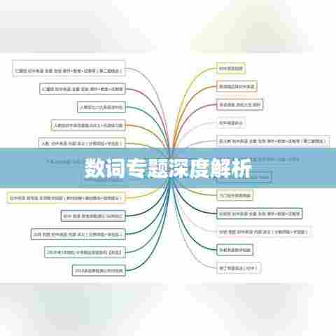 数词专题深度解析