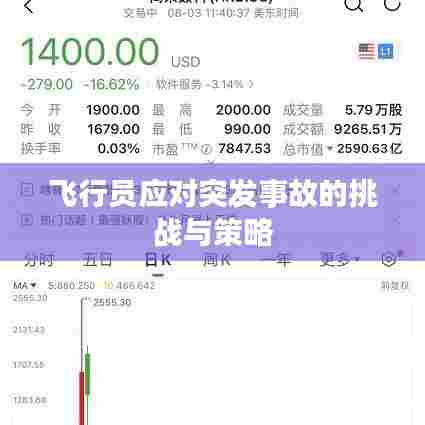 飞行员应对突发事故的挑战与策略