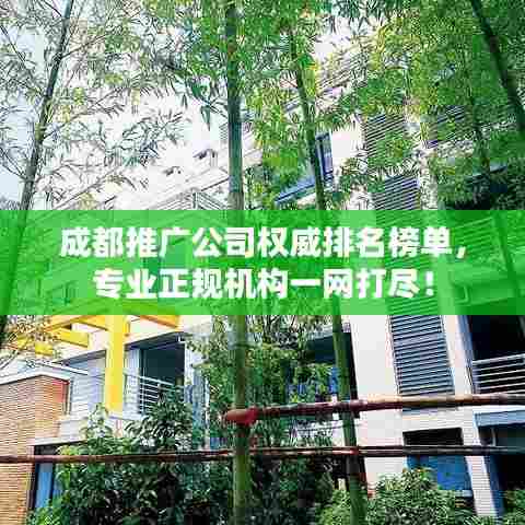 成都推广公司权威排名榜单,专业正规机构一网打尽!