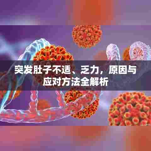 突发肚子不适、乏力，原因与应对方法全解析