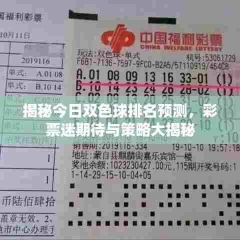 揭秘今日双色球排名预测,彩票迷期待与策略大揭秘