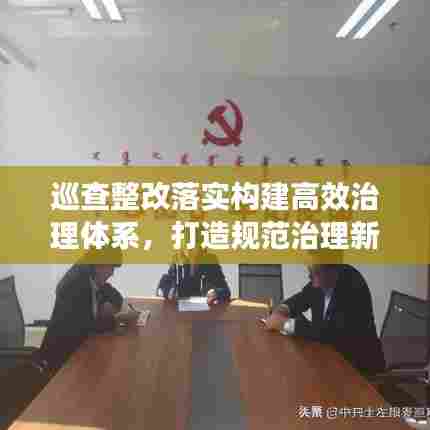 巡查整改落实构建高效治理体系，打造规范治理新篇章