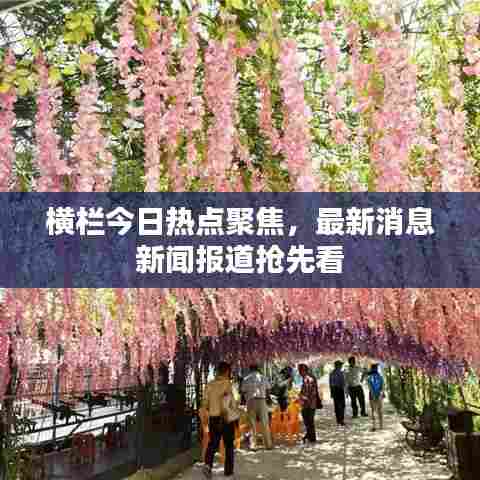 横栏今日热点聚焦，最新消息新闻报道抢先看