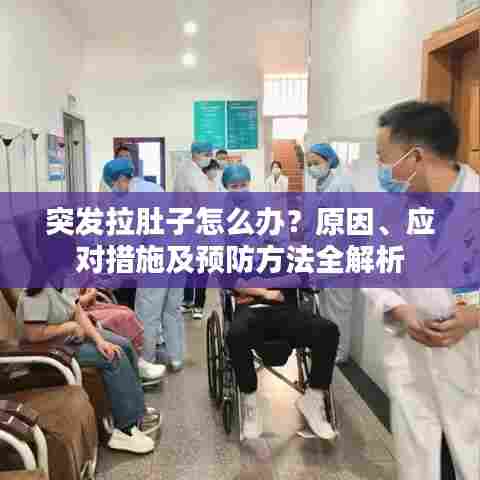 突发拉肚子怎么办？原因、应对措施及预防方法全解析