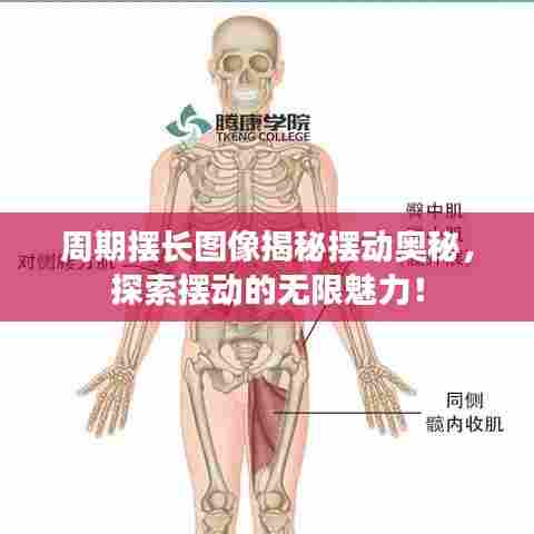 周期摆长图像揭秘摆动奥秘,探索摆动的无限魅力!