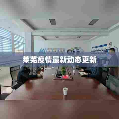 莱芜疫情最新动态更新