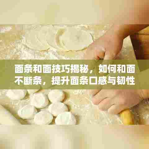 面条和面技巧揭秘，如何和面不断条，提升面条口感与韧性！