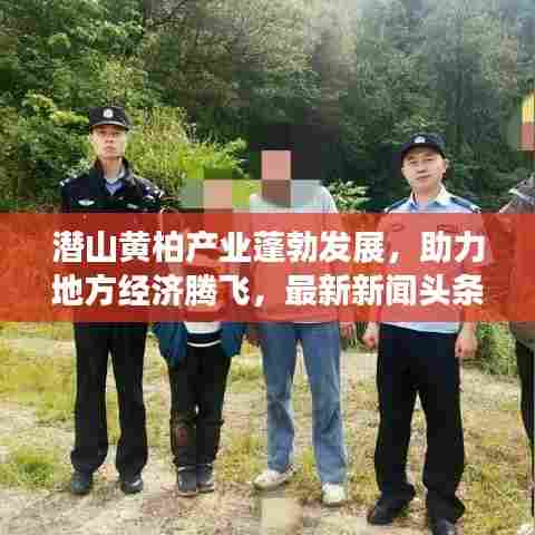 潜山黄柏产业蓬勃发展,助力地方经济腾飞,最新新闻头条