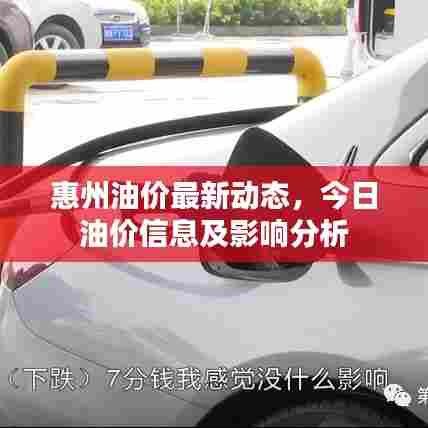 惠州油价最新动态，今日油价信息及影响分析