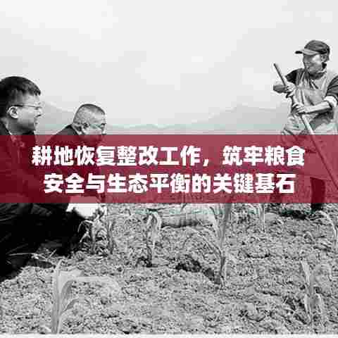 耕地恢复整改工作，筑牢粮食安全与生态平衡的关键基石