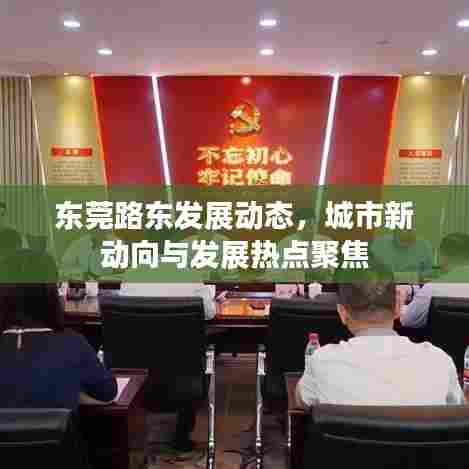 东莞路东发展动态，城市新动向与发展热点聚焦