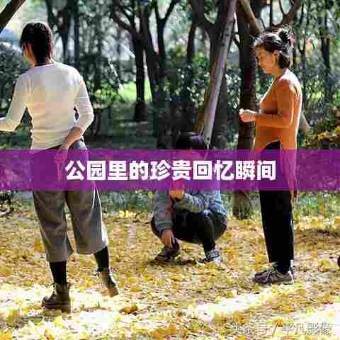 公园里的珍贵回忆瞬间