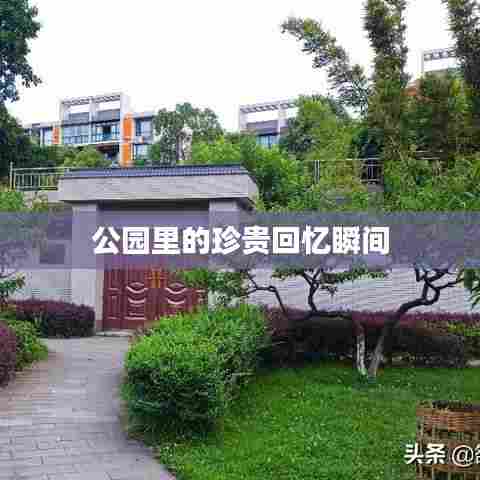 公园里的珍贵回忆瞬间