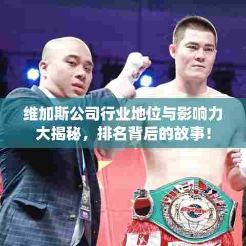 维加斯公司行业地位与影响力大揭秘，排名背后的故事！