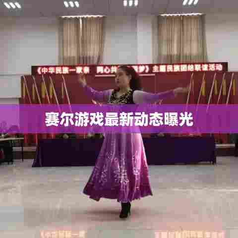 赛尔游戏最新动态曝光