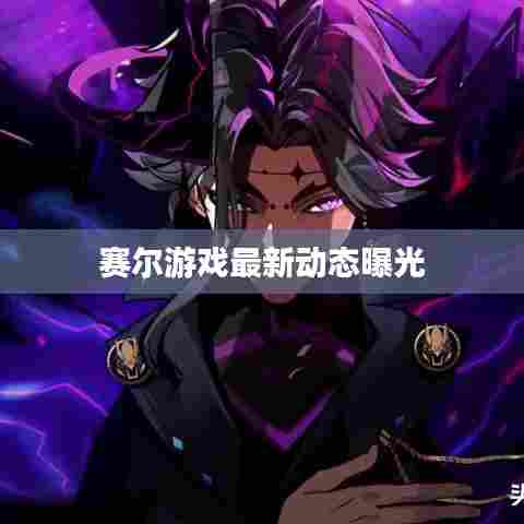 赛尔游戏最新动态曝光